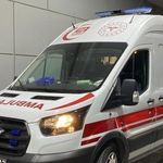 Bahçeye hava almaya çıktı, oğlunu ağaçta buldu