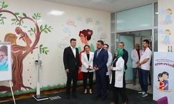 Vali Akmeşe'den Özbelde Aile Sağlığı Merkezi ve UMKE Deposuna İnceleme Ziyareti