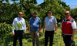 İl Müdürü Furkan Mete Emirler Köyünde Kiraz Hasadını İnceledi