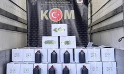 Niğde'de Litrelerce Etil Alkol Ele Geçirildi