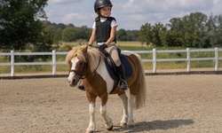 Niğde'de çocuklar Pony Club etkinliğinde atlarla buluşacak