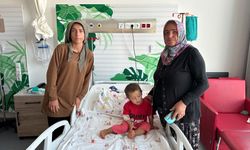 VİDEO HABER | Niğde’de 2 yaşındaki çocuğa köpek saldırdı