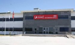 Niğde'de kaçak göçmen denetimi