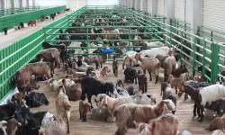 Çiftçiler ve yatırımcılar için yeni dönem