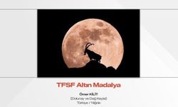 Niğde'nin en güzel fotoğrafları belli oldu