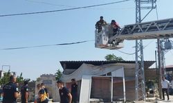 Elektrik direğinde cansız beden bulundu