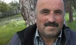 Üzerine ağaç devrilen işçi hayatını kaybetti