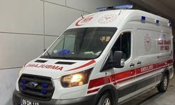 Bahçeye hava almaya çıktı, oğlunu ağaçta buldu
