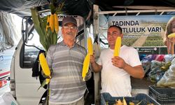 Ereğli tarlasından Niğde tezgâhına
