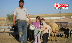 Altunhisar'da yıllardır elektriksiz yaşayan ailelerden yetkililere çağrı