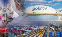 Göknur A.Ş.'nin kayyım kararı kaldırıldı