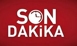 Yeğenini kurtarmak isterken canından oldu