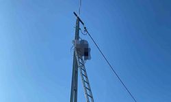Çıktığı elektrik direğinde akıma kapıldı
