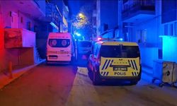 Kardeş kavgası kanlı bitti