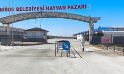 Niğde Belediyesi’nden Şap Hastalığına karşı sıkı önlem
