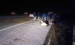 Gece yarısı can pazarı