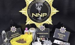 Niğde'de zehir tacirlerine darbe
