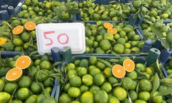 Mandalina Niğde’de satışa çıktı