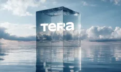 Tera Portföy'de ne oldu? Fonlar neden temerrüde düştü, yatırımcıları ne bekliyor?