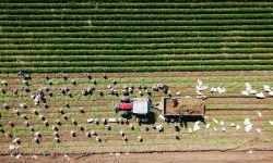 Milyarlarca Liralık Hibe Paketi Açıklandı