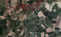 TOKİ 47 ilde 405 arsayı satıyor! Niğde listede var mı?