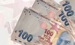 Üreticiye desteklerde yeni dönem