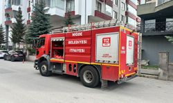 Niğde'de restoranın mutfağında çıkan yargın korkuttu
