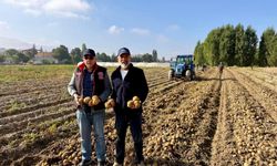 Niğde'de yerli ve milli patates üretiminde büyük başarı