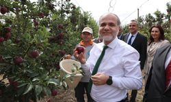 NÖHÜ'de elma hasadı başladı