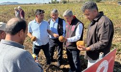Nevşehir'de yerli ve millî patates çeşitlerinin hasadı yapıldı