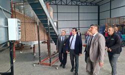 Vali Yardımcısı Arık ve İl Müdürü Mete’den Kemerhisar’daki ceviz işleme tesisine ziyaret