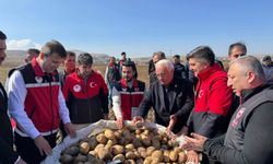 Yerli ve milli patates çeşitleri hasat edildi