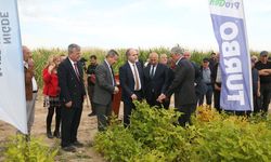 NÖHÜ’de silajlık soya ve mısır hasadı yapıldı