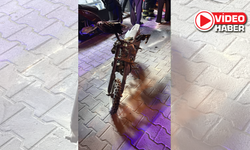 Niğde’de bir binada çıkan yangında çok sayıda kişi etkilendi