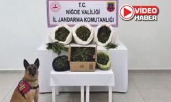 32 ilde dev operasyon! Yüzlerce şüpheli yakalandı