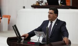 Milletvekili İnce afet bölgesi ve çiftçi taleplerini meclis gündemine taşıdı