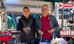 Niğde Perşembe Pazarı’nda yaş ceviz bereketi