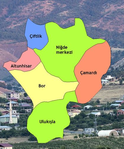Niğde'de yüksek rakımda yetişiyor! 40 gün güneşte bekliyor: Herkes ona ‘doğal doktor’ diyor!