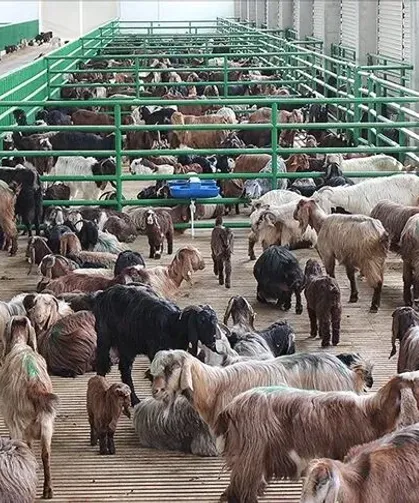 Çiftçiler ve yatırımcılar için yeni dönem