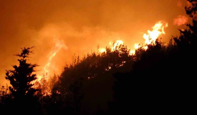 Havalar ısındı! Bu davranışlardan uzak durun!