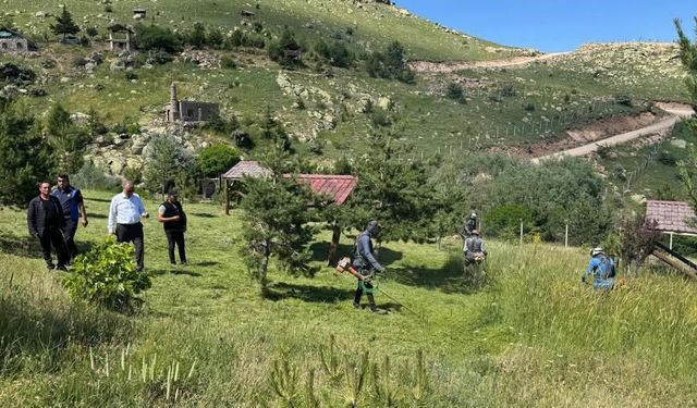 Doğal güzelliğe modern dokunuş
