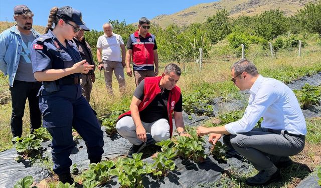 Üreticilere ‘Çilek’ bilgilendirilmesi