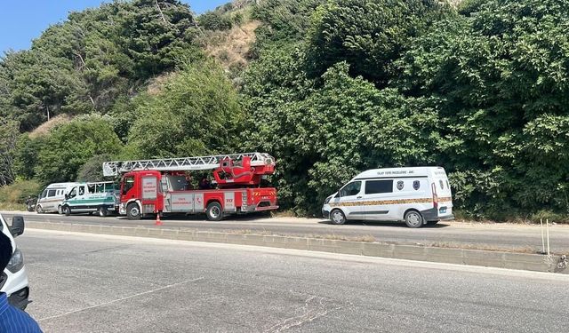 Ağaçlık alandaki koku cesedi ortaya çıkardı