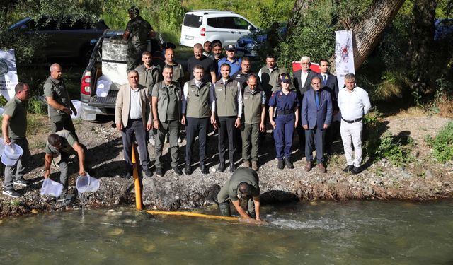 Ecemiş Çayı'na 15 Bin Kırmızı Benekli Alabalık Bırakıldı