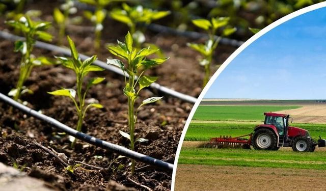 Üreticiye dev destek! Ödemeler hesaplara geçti