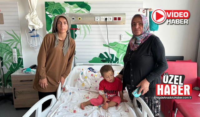 Niğde’de 2 yaşındaki çocuğa köpek saldırdı
