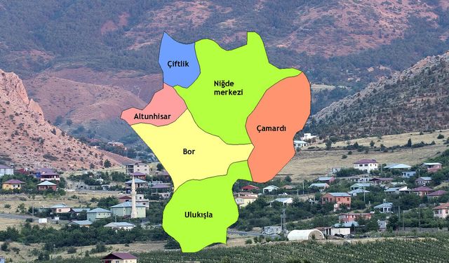 Niğde'de yüksek rakımda yetişiyor! 40 gün güneşte bekliyor: Herkes ona ‘doğal doktor’ diyor!