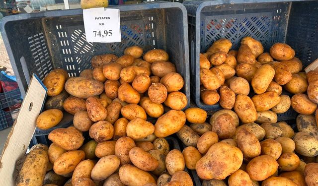 Patatesin başkentinde fiyat şoku!