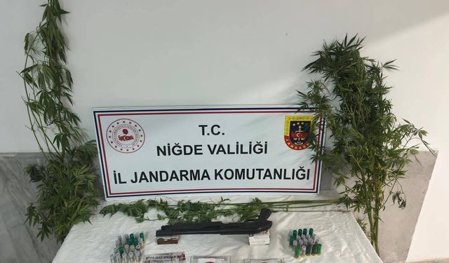 Niğde Ulukışla'da uyuşturucu operasyonu