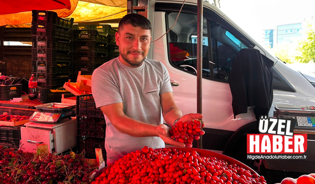Niğde tezgahlarında kızılcık bereketi